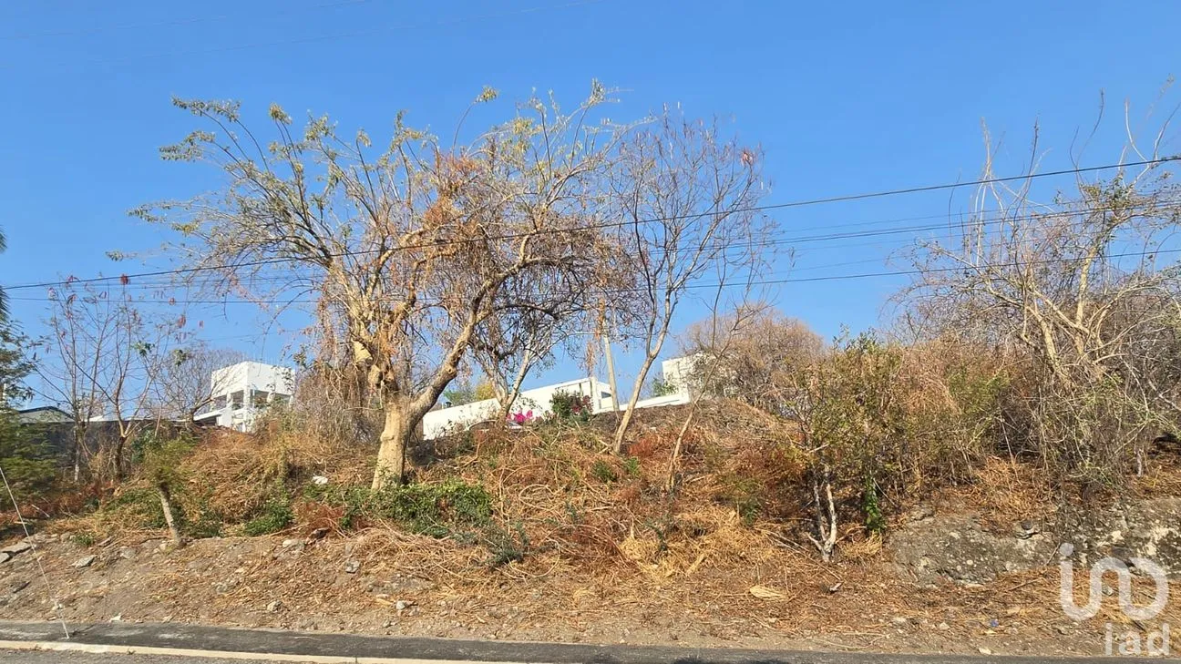 Terreno en Venta en Real Santa Fe, Xochitepec, Morelos | NEX-294066 | iad México | Foto 11 de 25