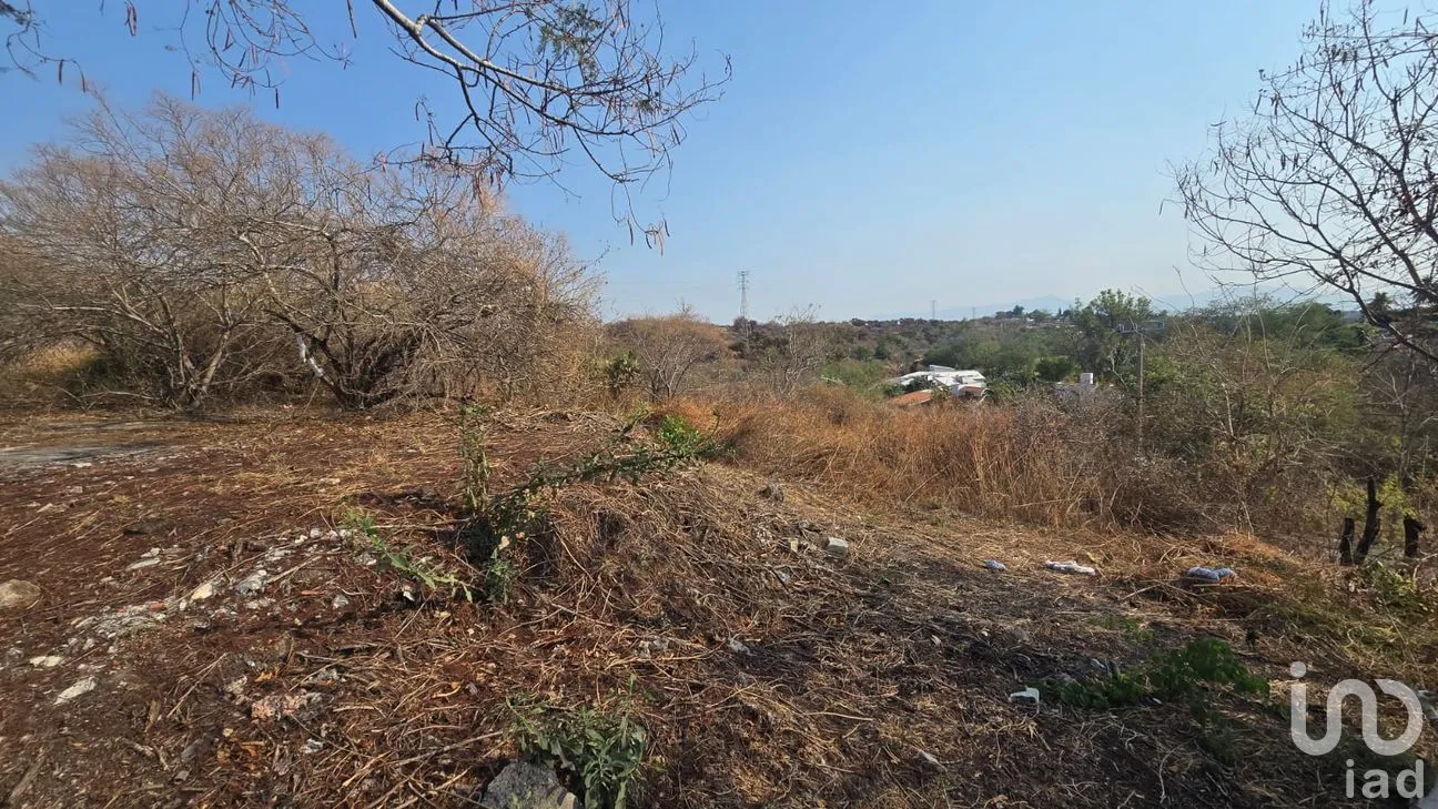 Terreno en Venta en Real Santa Fe, Xochitepec, Morelos | NEX-294066 | iad México | Foto 21 de 25