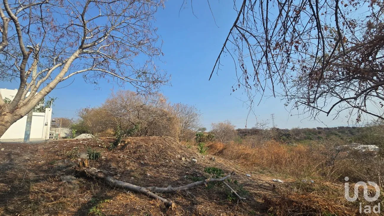 Terreno en Venta en Real Santa Fe, Xochitepec, Morelos | NEX-294066 | iad México | Foto 23 de 25