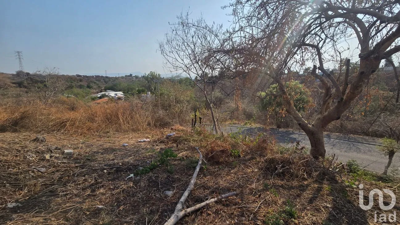 Terreno en Venta en Real Santa Fe, Xochitepec, Morelos | NEX-294066 | iad México | Foto 24 de 25