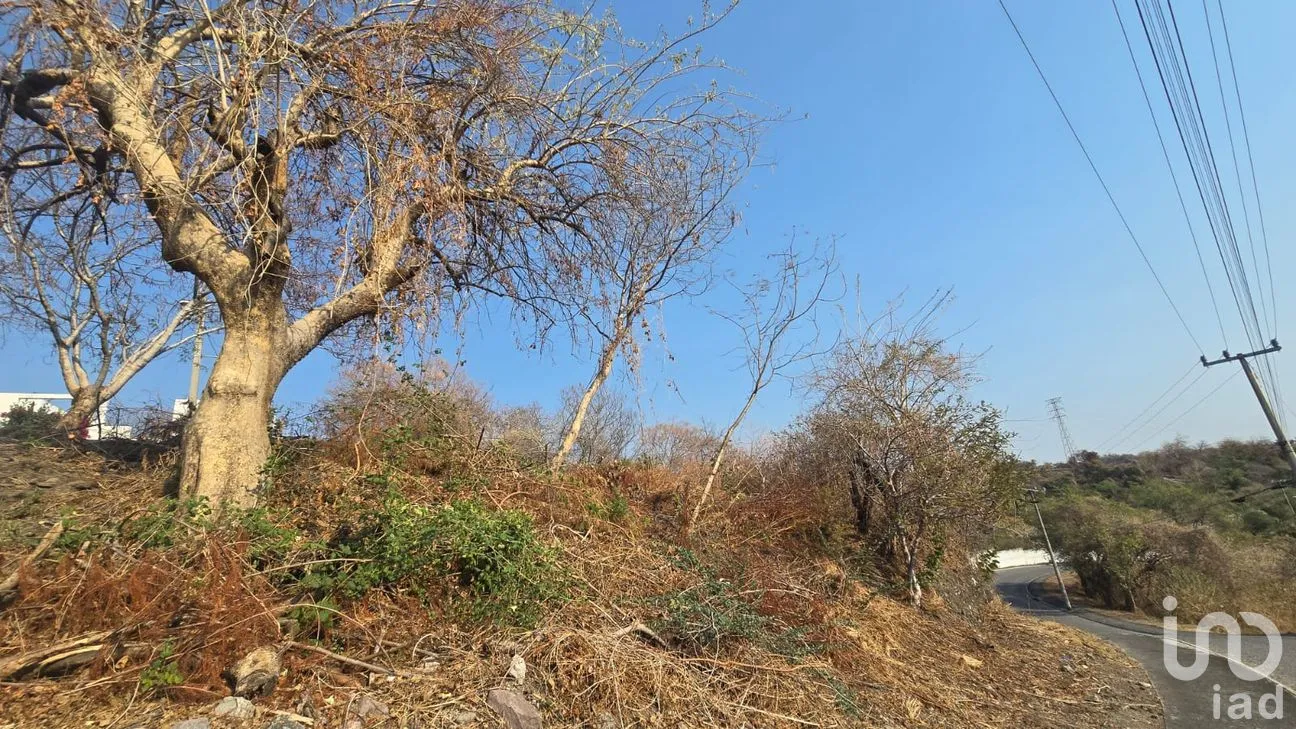 Terreno en Venta en Real Santa Fe, Xochitepec, Morelos | NEX-294066 | iad México | Foto 6 de 25