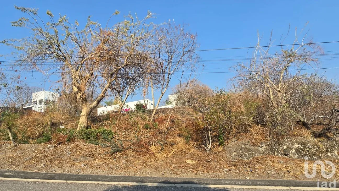 Terreno en Venta en Real Santa Fe, Xochitepec, Morelos | NEX-294066 | iad México | Foto 7 de 25