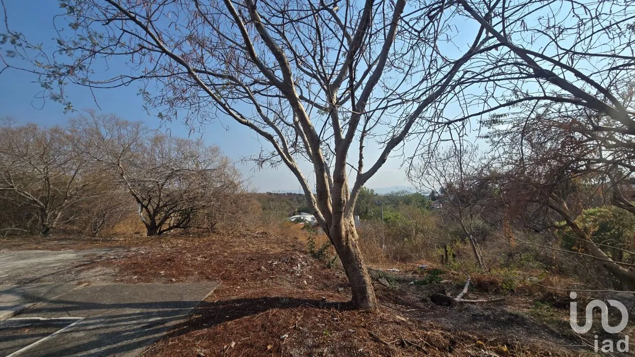 Terreno en Venta en Real Santa Fe, Xochitepec, Morelos | NEX-294066 | iad México | Foto 9 de 25