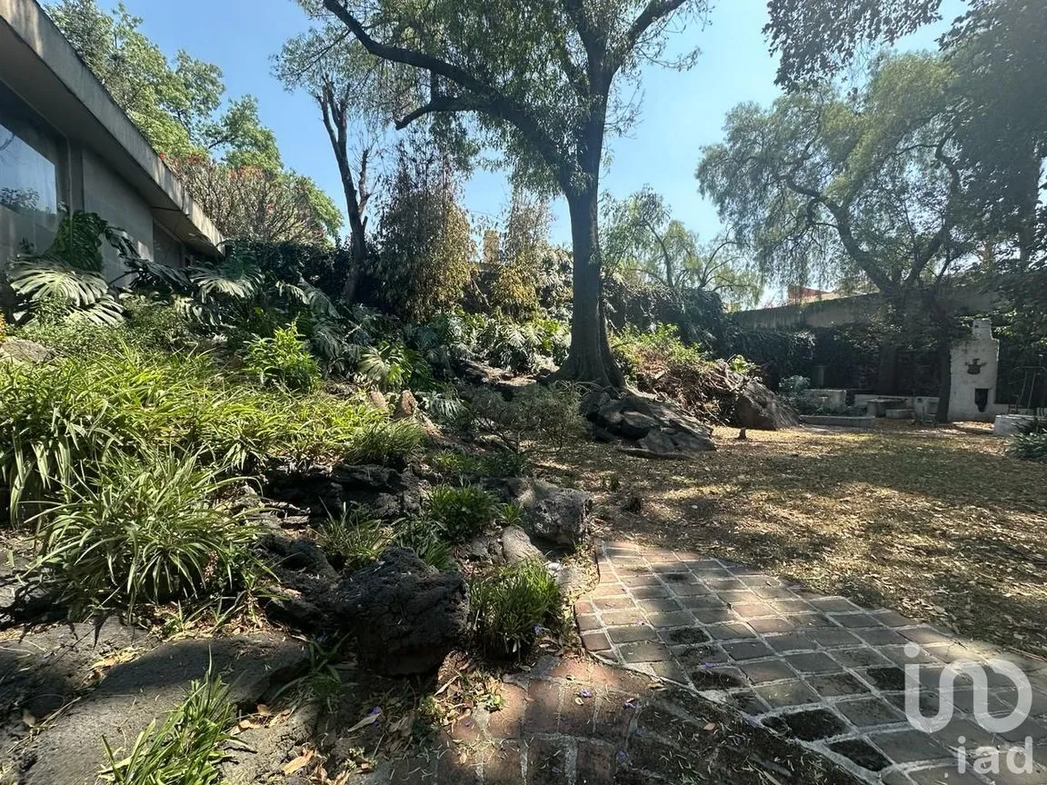 Casa en Venta en Jardines del Pedregal, Álvaro Obregón, Ciudad de México | NEX-196997 | iad México | Foto 5 de 20