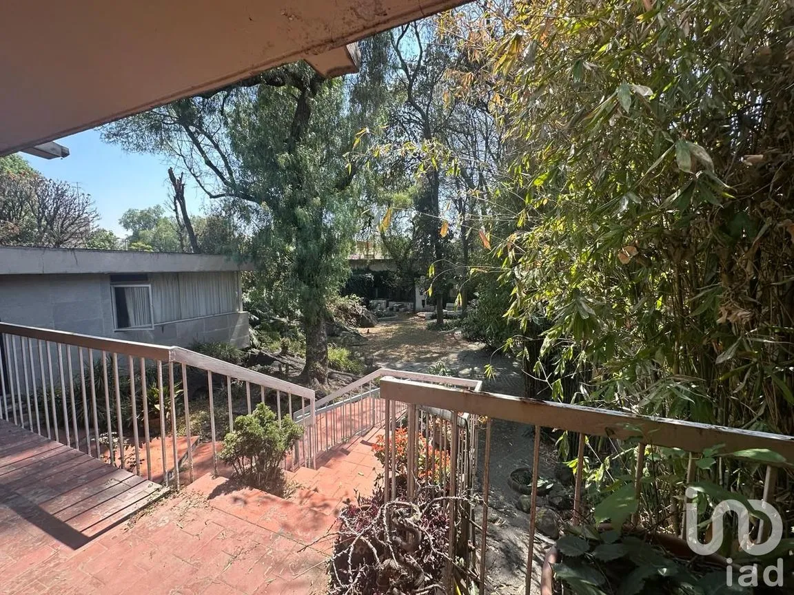 Casa en Venta en Jardines del Pedregal, Álvaro Obregón, Ciudad de México | NEX-196997 | iad México | Foto 6 de 20