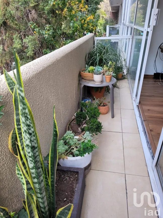 Departamento en Venta en Polanco V Sección, Miguel Hidalgo, Ciudad de México | NEX-234733 | iad México | Foto 7 de 25