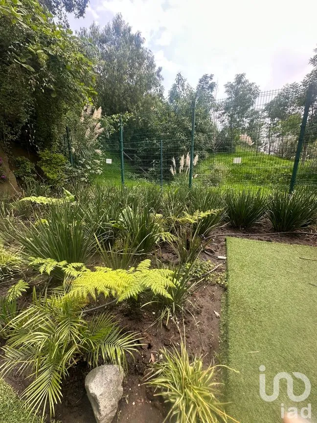 Departamento en Renta en Bosque Real, Huixquilucan, México | NEX-258016 | iad México | Foto 10 de 33