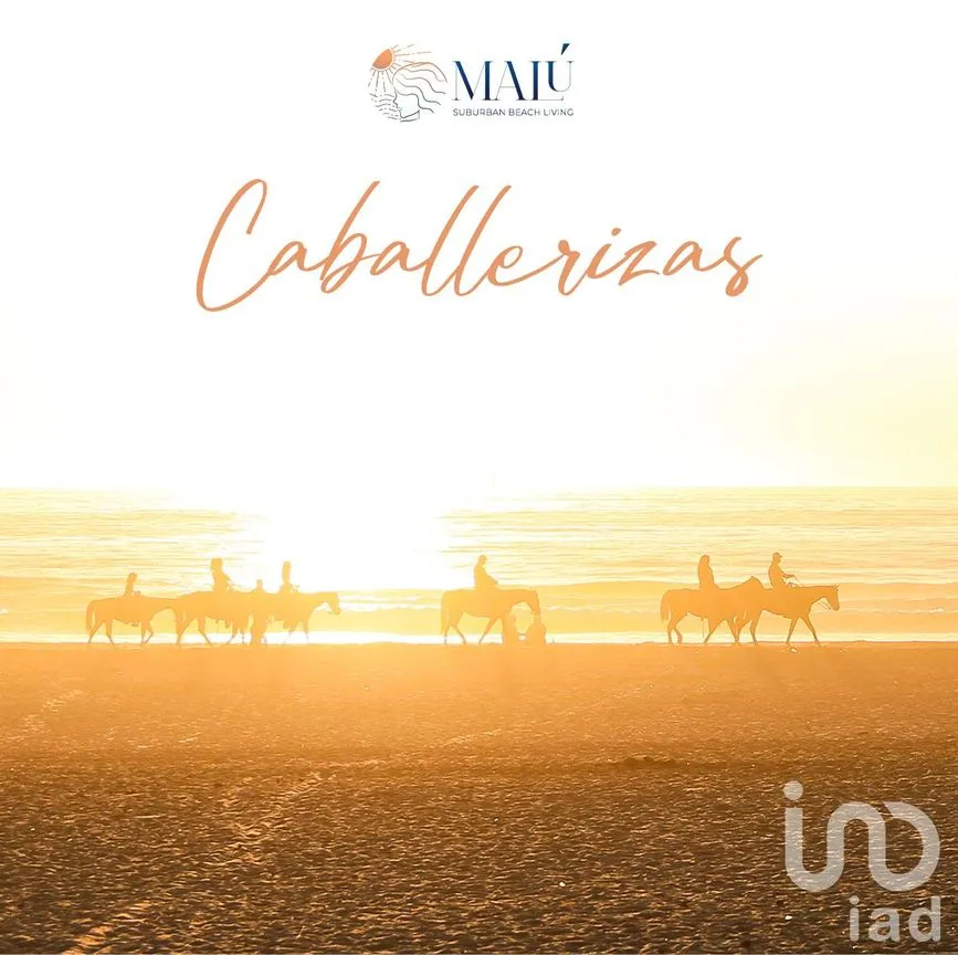 Terreno en Venta en Santa Clara, Dzidzantún, Yucatán | NEX-158124 | iad México | Foto 4 de 4