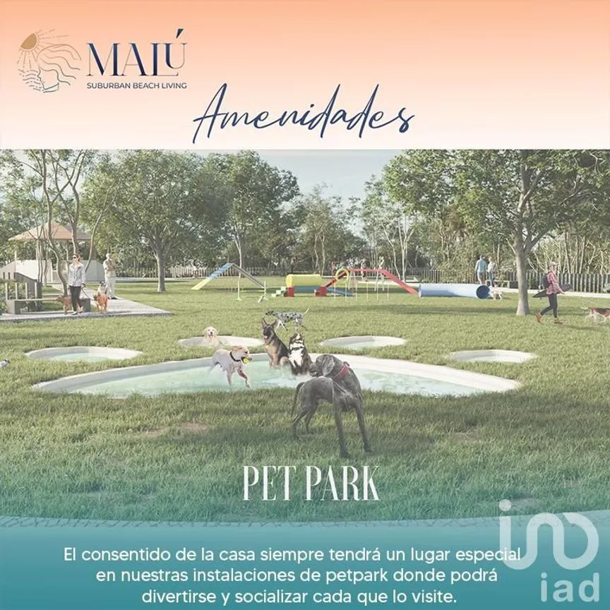 Terreno en Venta en Santa Clara, Dzidzantún, Yucatán | NEX-174191 | iad México | Foto 7 de 18