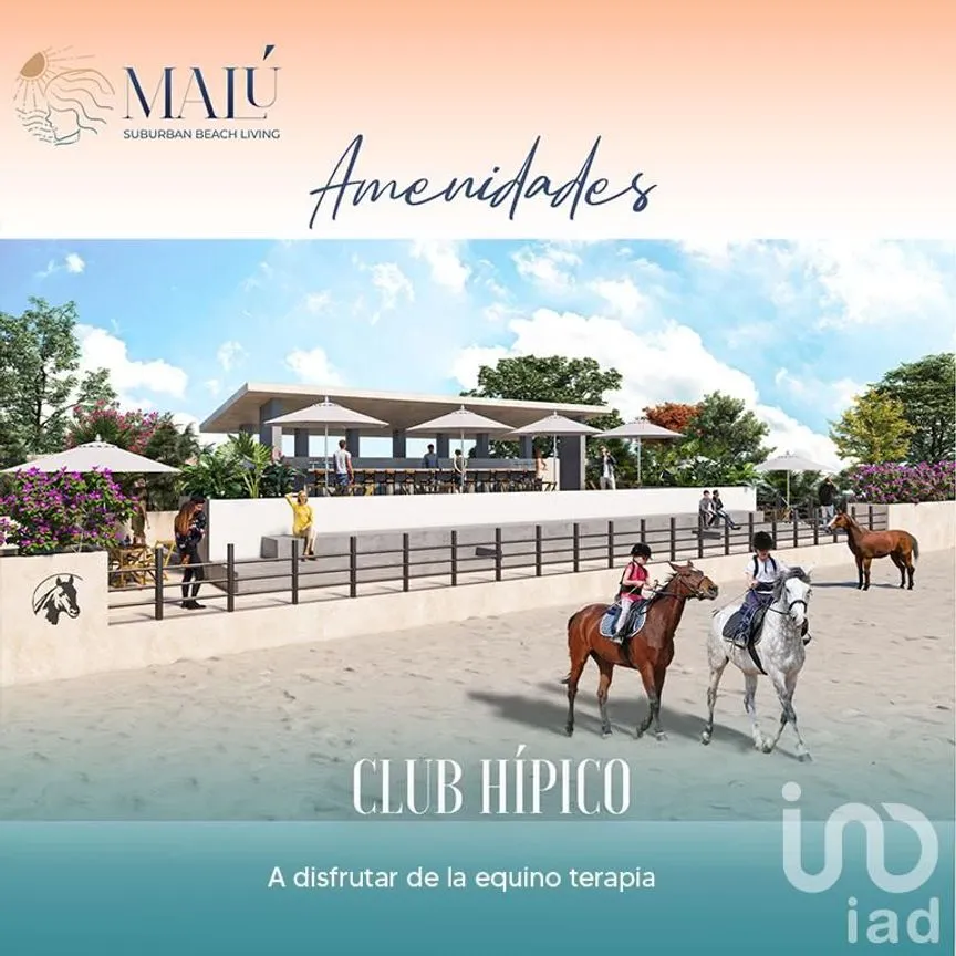 Terreno en Venta en Santa Clara, Dzidzantún, Yucatán | NEX-174191 | iad México | Foto 17 de 18