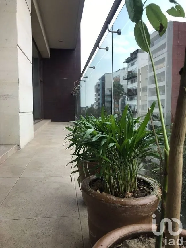 Departamento en Venta en Polanco IV Sección, Miguel Hidalgo, Ciudad de México | NEX-151905 | iad México | Foto 9 de 22