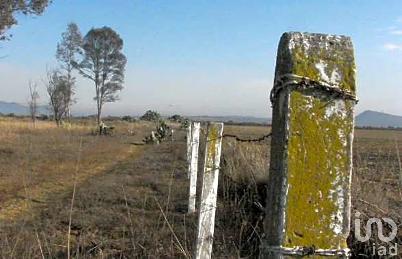 Terreno en Venta en San Lorenzo el Chico, Nopala de Villagrán, Hidalgo | NEX-262792 | iad México | Foto 3 de 8