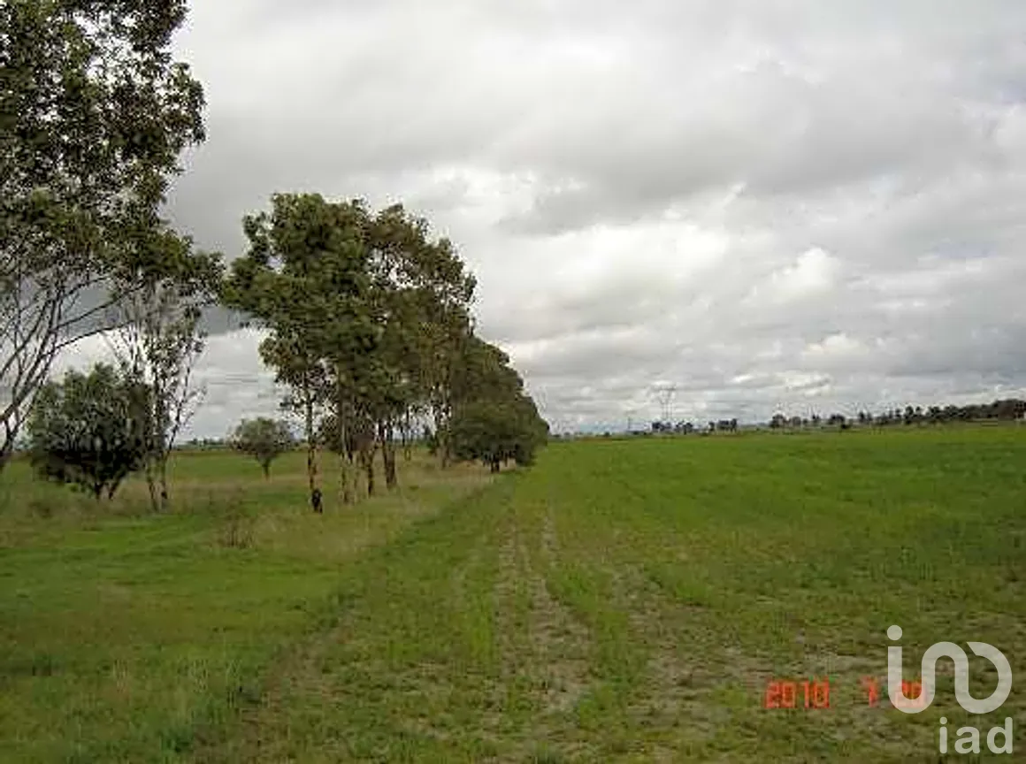 Terreno en Venta en San Lorenzo el Chico, Nopala de Villagrán, Hidalgo | NEX-262792 | iad México | Foto 4 de 8