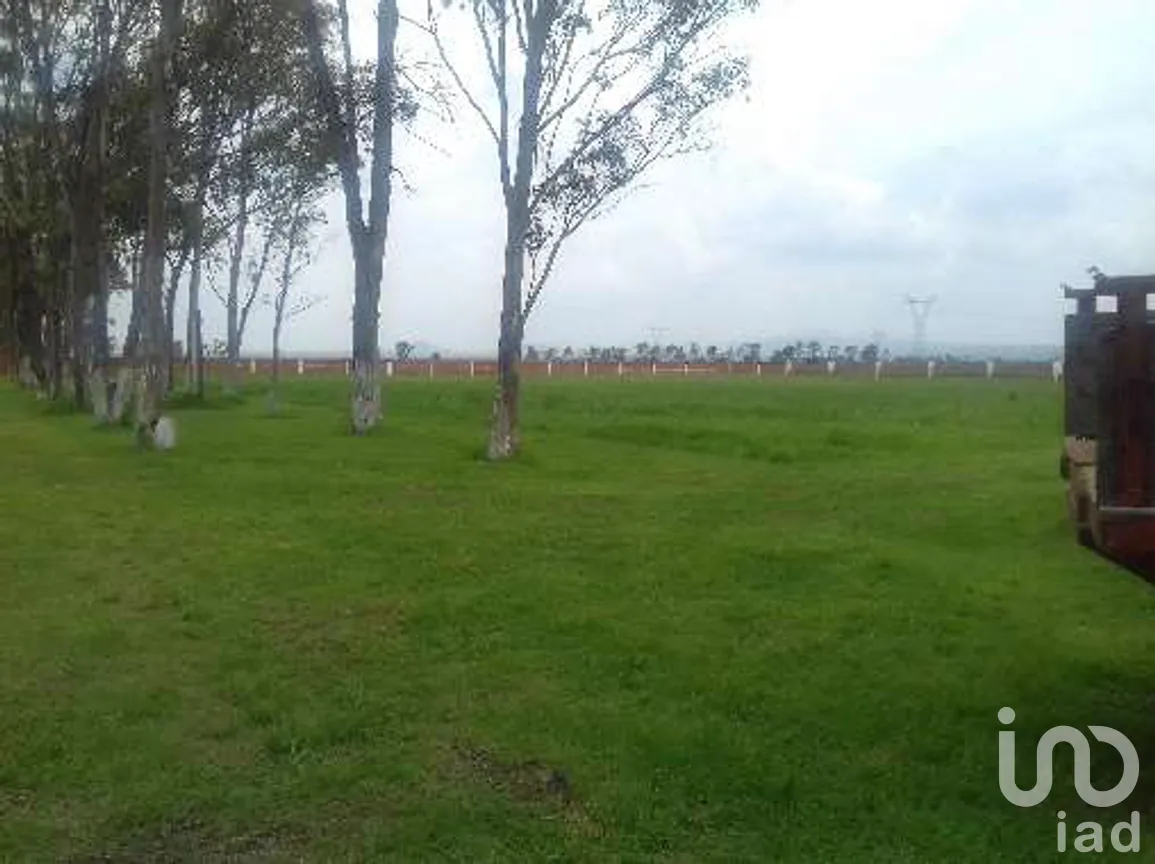 Terreno en Venta en San Lorenzo el Chico, Nopala de Villagrán, Hidalgo | NEX-262792 | iad México | Foto 7 de 8