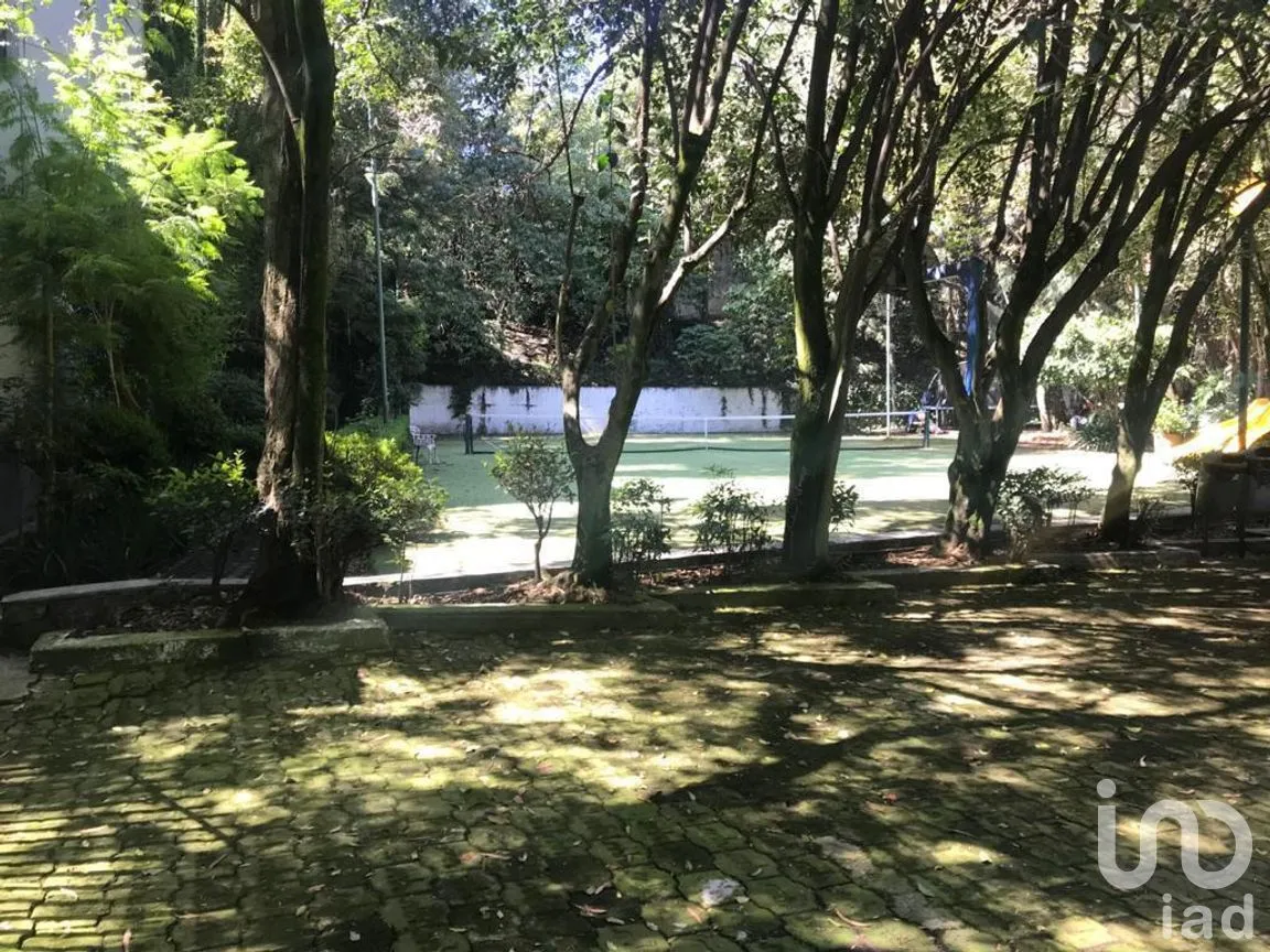Departamento en Venta en Lomas Altas, Miguel Hidalgo, Ciudad de México | NEX-268413 | iad México | Foto 5 de 19