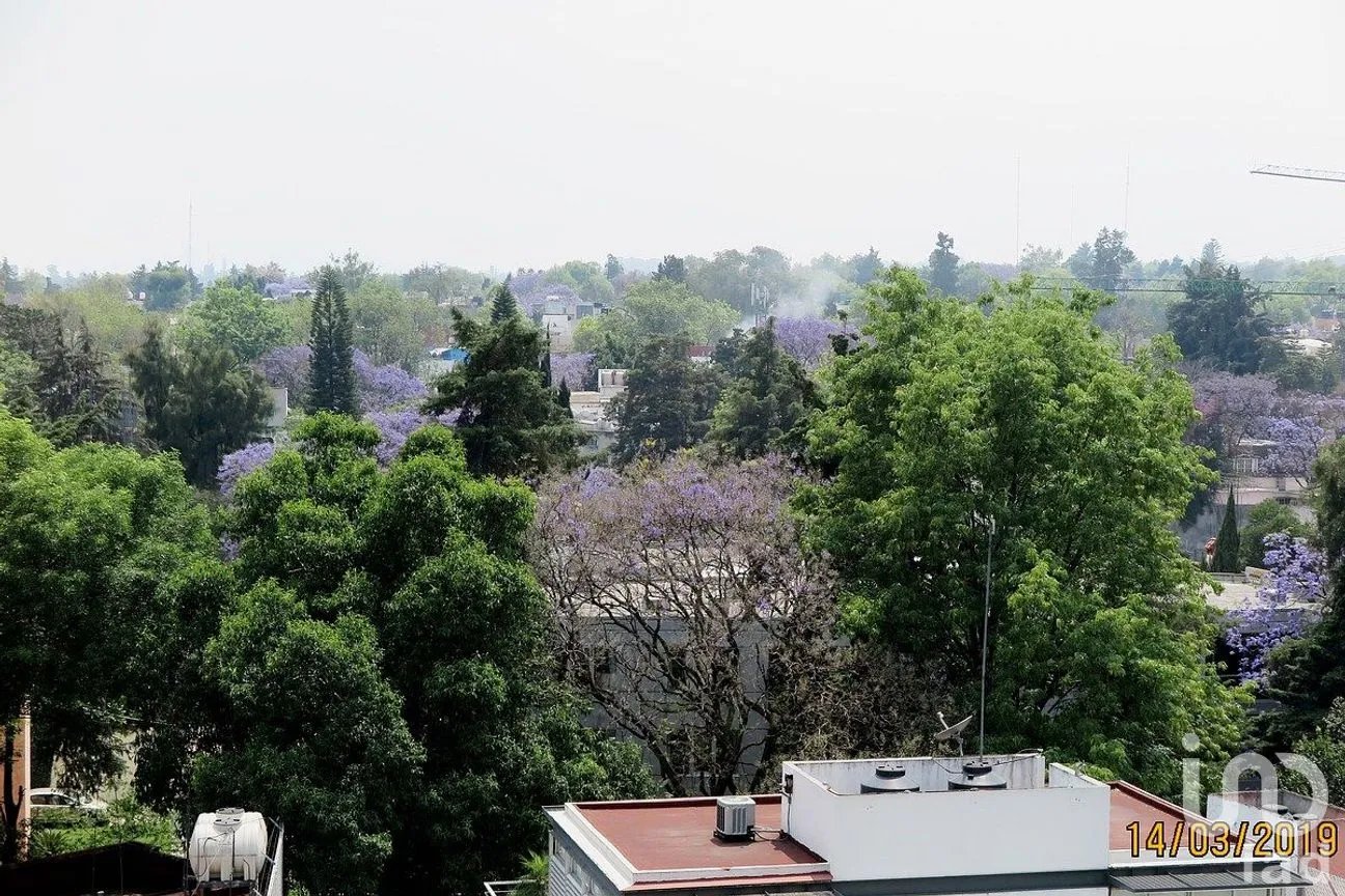 Departamento en Venta en Lomas de Chapultepec III Sección, Miguel Hidalgo, Ciudad de México | NEX-284665 | iad México | Foto 22 de 35