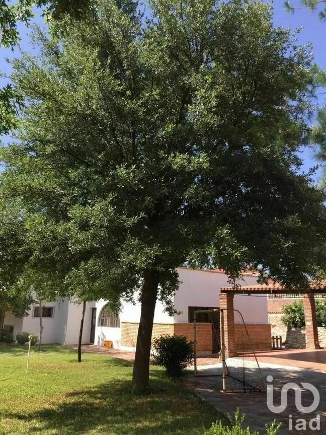 Casa en Renta en Las Cabañas, Saltillo, Coahuila | NEX-293982 | iad México | Foto 10 de 28