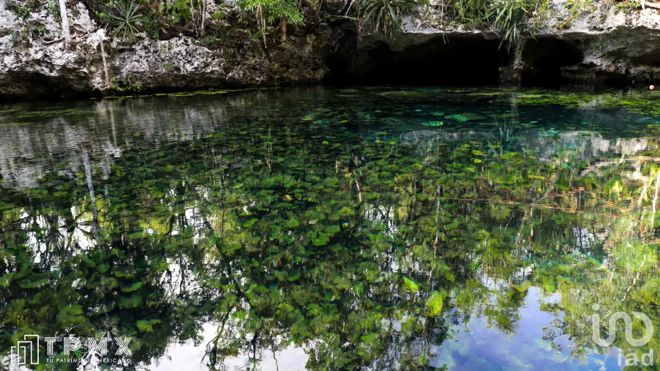 Terreno en Venta en Tulum Centro, Tulum, Quintana Roo | NEX-267003 | iad México | Foto 5 de 6
