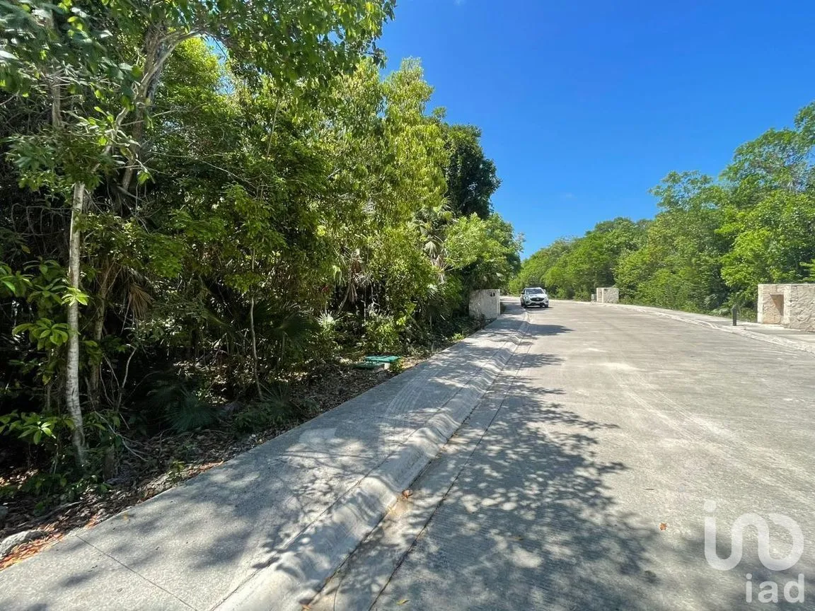 Terreno en Venta en Akumal, Tulum, Quintana Roo | NEX-267061 | iad México | Foto 11 de 12