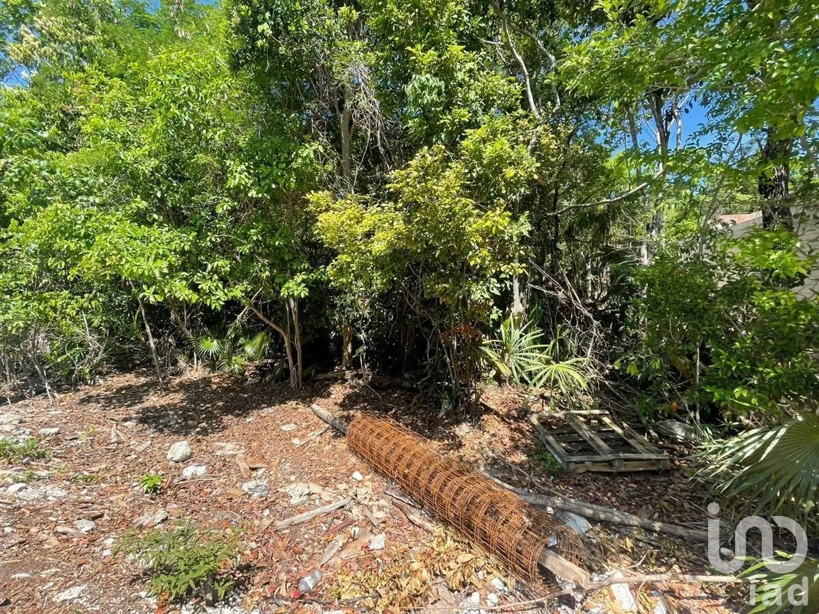 Terreno en Venta en Akumal, Tulum, Quintana Roo | NEX-267061 | iad México | Foto 12 de 12