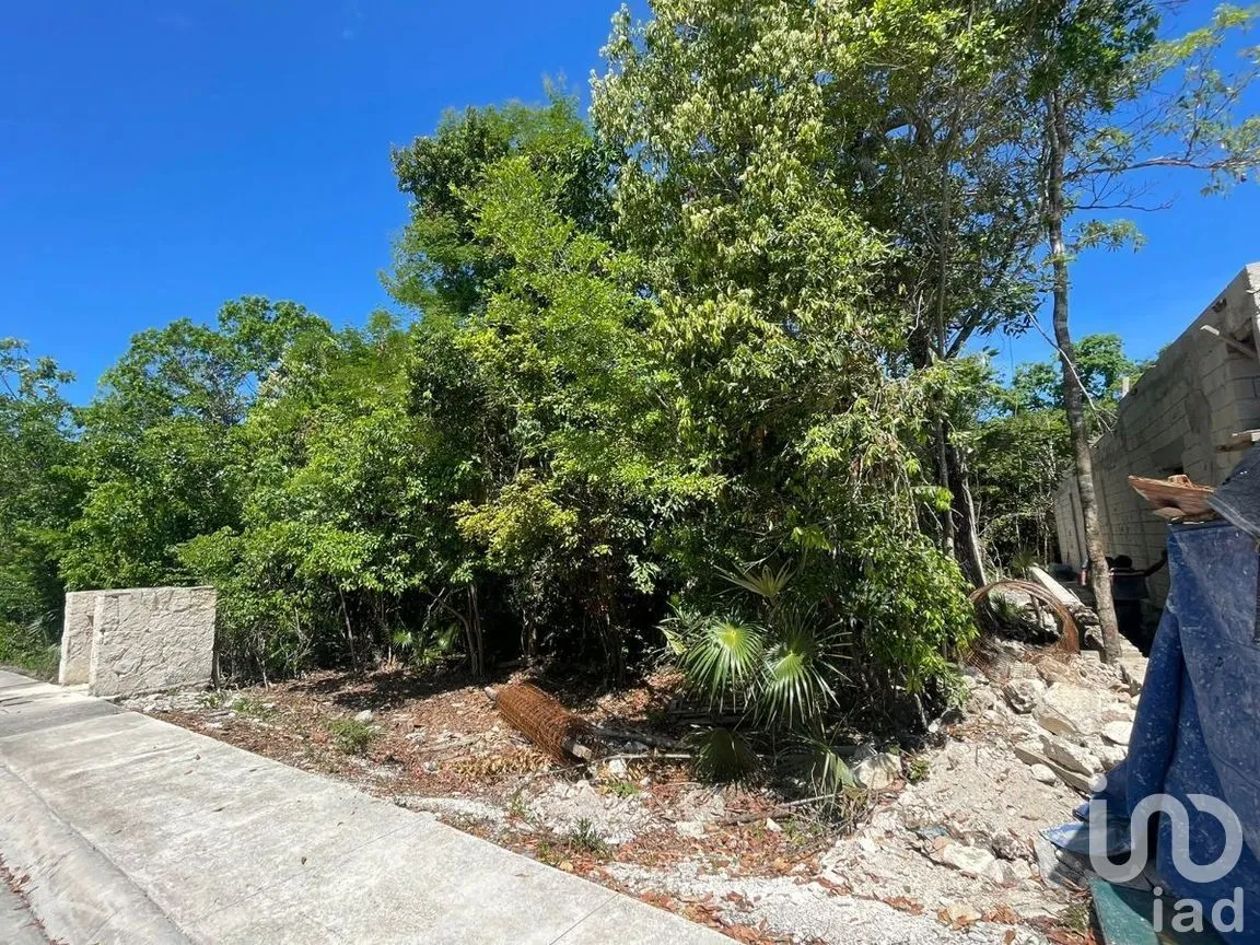 Terreno en Venta en Akumal, Tulum, Quintana Roo | NEX-267061 | iad México | Foto 7 de 12