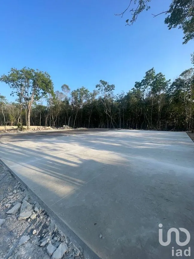 Terreno en Venta en Tulum Centro, Tulum, Quintana Roo | NEX-267101 | iad México | Foto 13 de 24