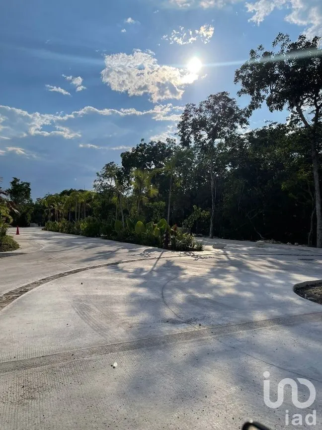 Terreno en Venta en Tulum Centro, Tulum, Quintana Roo | NEX-267101 | iad México | Foto 14 de 24