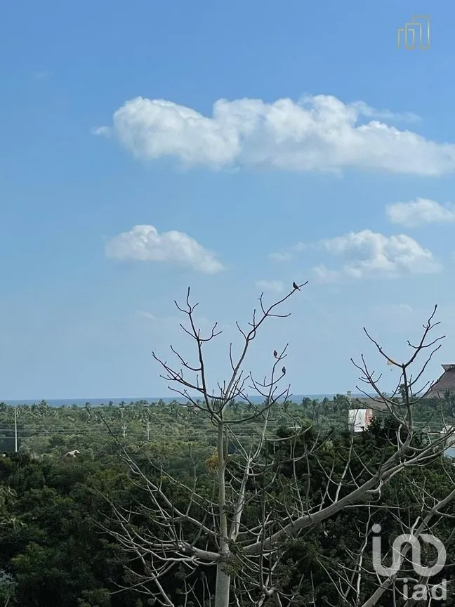 Departamento en Venta en Akumal, Tulum, Quintana Roo | NEX-268197 | iad México | Foto 36 de 40