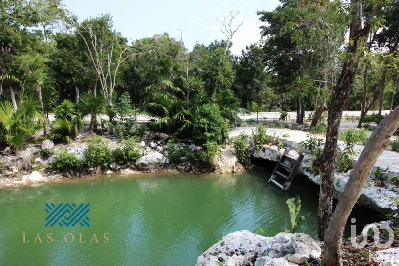 Terreno en Venta en Akumal, Tulum, Quintana Roo | NEX-270259 | iad México | Foto 9 de 20
