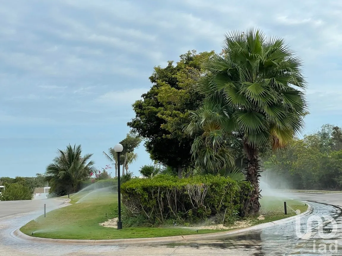 Terreno en Venta en Akumal, Tulum, Quintana Roo | NEX-273467 | iad México | Foto 25 de 33