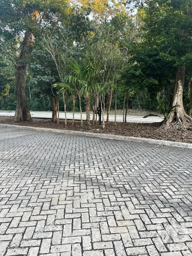 Terreno en Venta en Akumal, Tulum, Quintana Roo | NEX-273467 | iad México | Foto 32 de 33