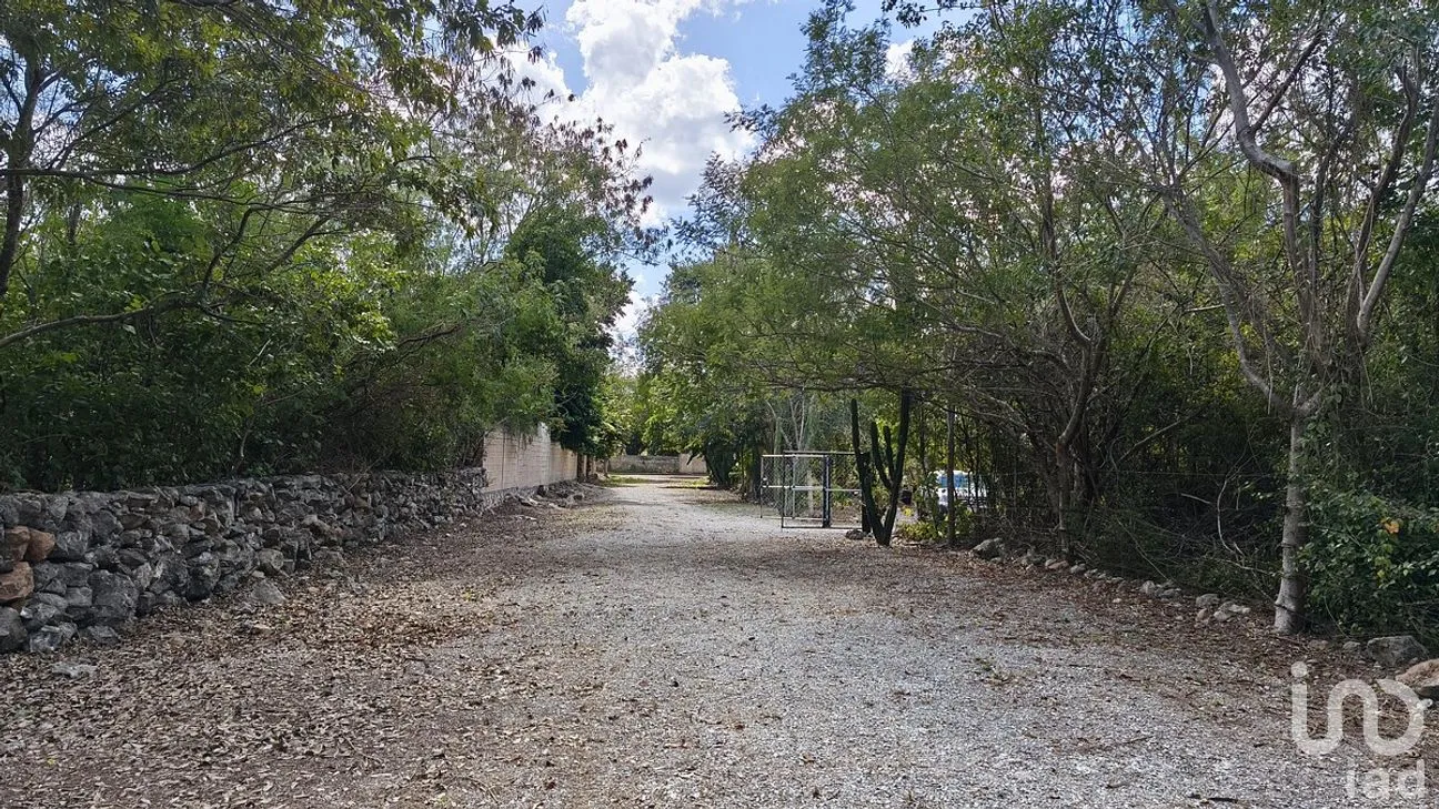 Terreno en Venta en Dzununcán, Mérida, Yucatán | NEX-281301 | iad México | Foto 8 de 16