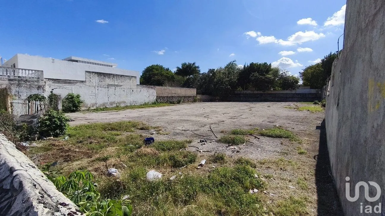 Terreno en Renta en Mérida Centro, Mérida, Yucatán | NEX-284675 | iad México | Foto 3 de 6