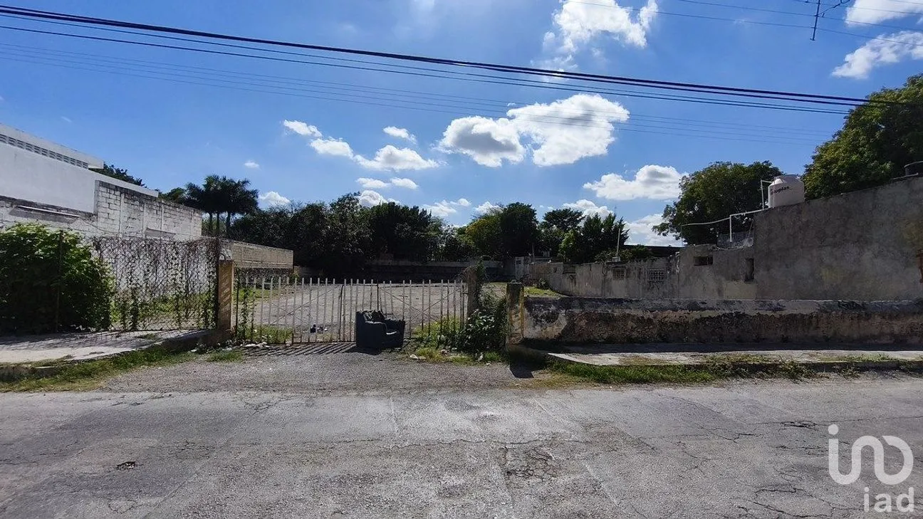 Terreno en Renta en Mérida Centro, Mérida, Yucatán | NEX-284675 | iad México | Foto 5 de 6