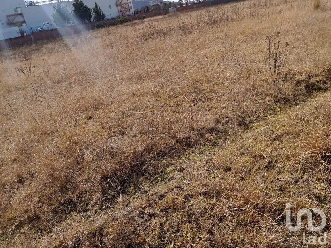 Terreno en Renta en San Cristóbal Huichochitlán, Toluca, Estado De México | NEX-228502 | iad México | Foto 11 de 11