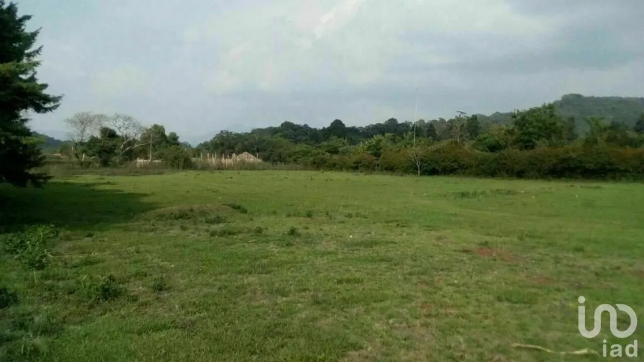 Terreno en Venta en Atesquelites, Valle de Bravo, Estado De México | NEX-229323 | iad México | Foto 4 de 10