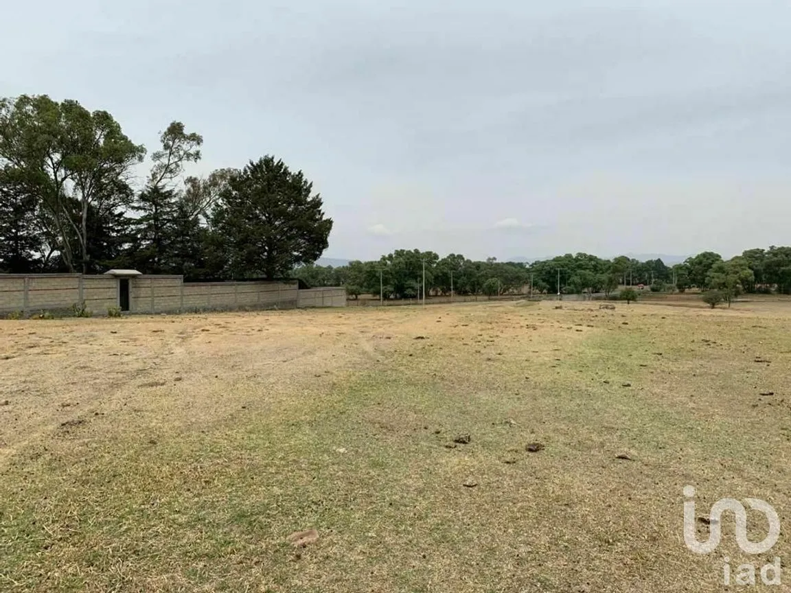 Terreno en Venta en San Felipe Santiago, Jiquipilco, Estado De México | NEX-229456 | iad México | Foto 11 de 20