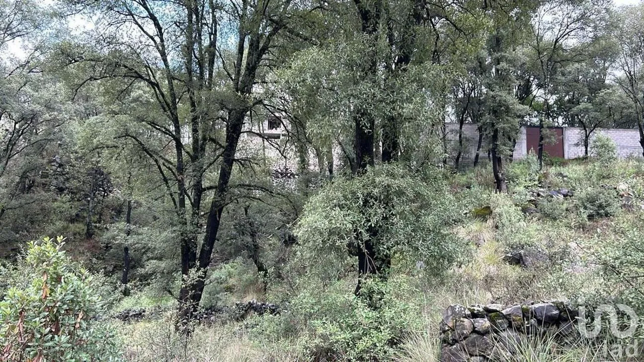 Terreno en Venta en San Miguel, Ocoyoacac, Estado De México | NEX-229637 | iad México | Foto 2 de 4