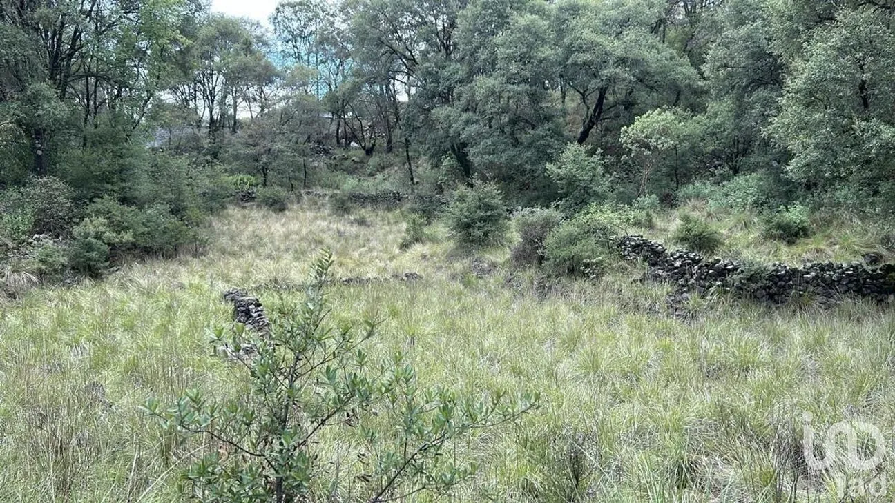 Terreno en Venta en San Miguel, Ocoyoacac, Estado De México | NEX-229637 | iad México | Foto 3 de 4