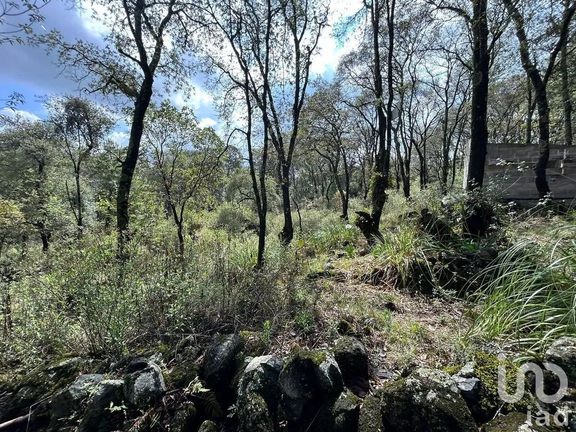 Terreno en Venta en San Miguel, Ocoyoacac, Estado De México | NEX-229638 | iad México | Foto 3 de 4