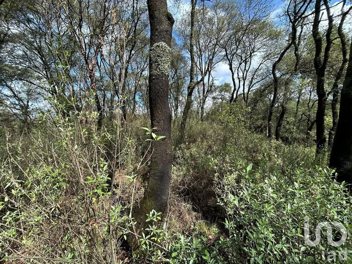 Terreno en Venta en San Miguel, Ocoyoacac, Estado De México | NEX-229638 | iad México | Foto 4 de 4