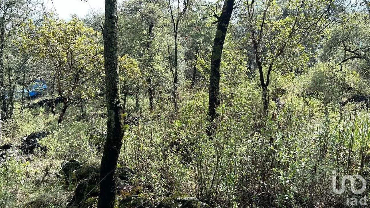 Terreno en Venta en San Miguel, Ocoyoacac, Estado De México | NEX-229638 | iad México | Foto 1 de 4