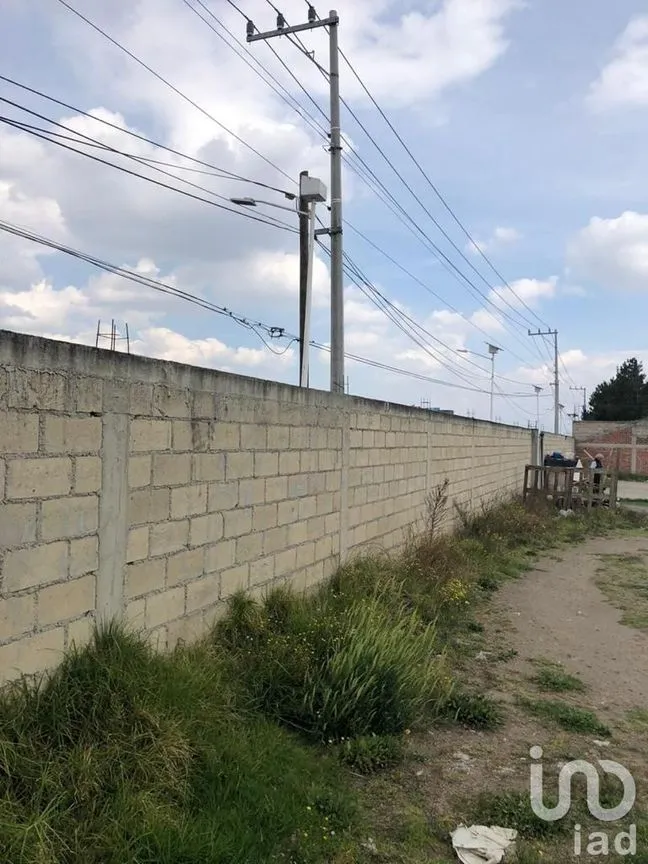 Terreno en Renta en La Michoacana, Metepec, Estado De México | NEX-230038 | iad México | Foto 6 de 9