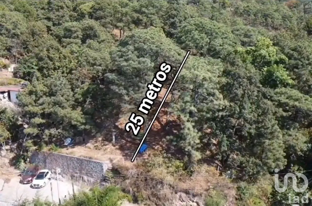 Terreno en Venta en Loma Bonita, Valle de Bravo, Estado de México | NEX-278327 | iad México | Foto 4 de 7