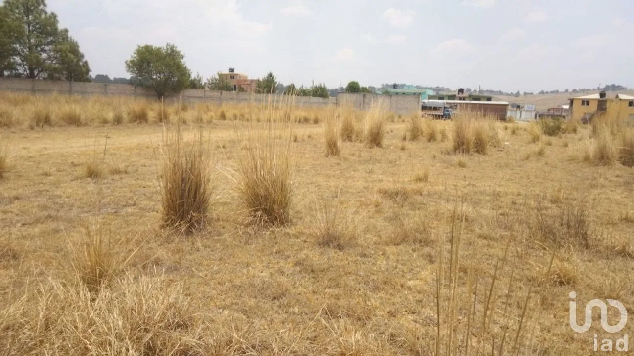 Terreno en Renta en La Trinidad Concepción, San José del Rincón, Estado de México | NEX-278335 | iad México | Foto 6 de 10