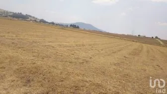 NEX-278335 - Terreno en Renta en La Trinidad Concepción, CP 50665, Estado de México.