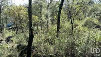 NEX-278338 - Terreno en Venta en San Miguel, CP 52740, Estado de México.