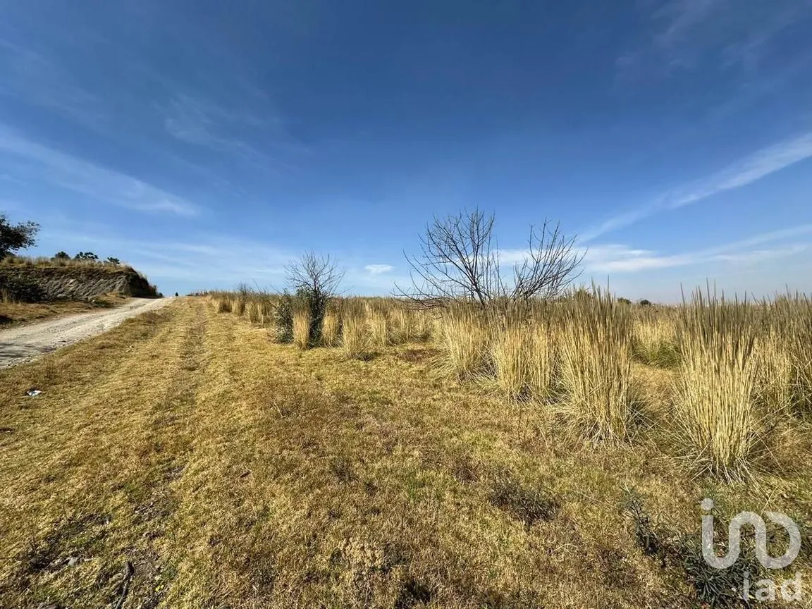 Terreno en Venta en Santa Cruz Cuauhtenco, Zinacantepec, Estado de México | NEX-278355 | iad México | Foto 2 de 8