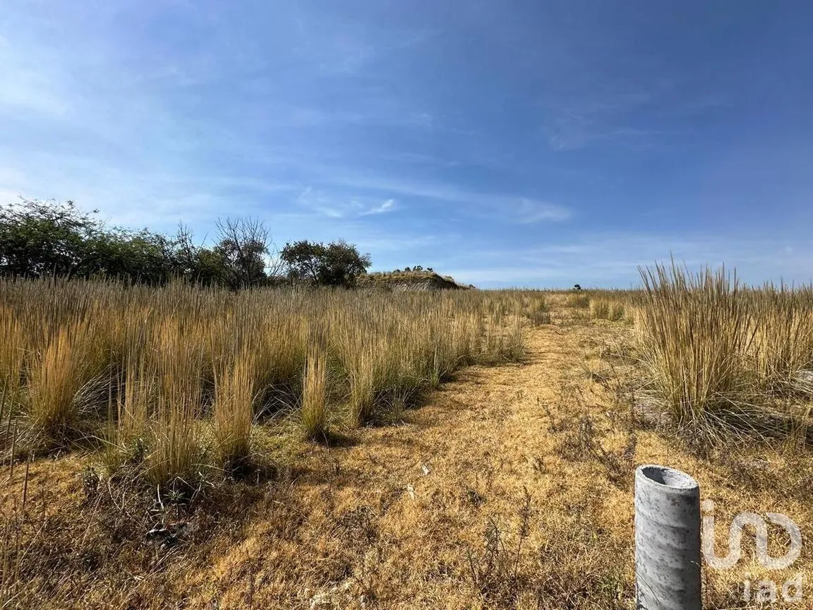 Terreno en Venta en Santa Cruz Cuauhtenco, Zinacantepec, Estado de México | NEX-278355 | iad México | Foto 8 de 8