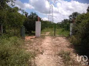 NEX-280933 - Terreno en Venta en Tzucacab Centro, CP 97960, Yucatán.